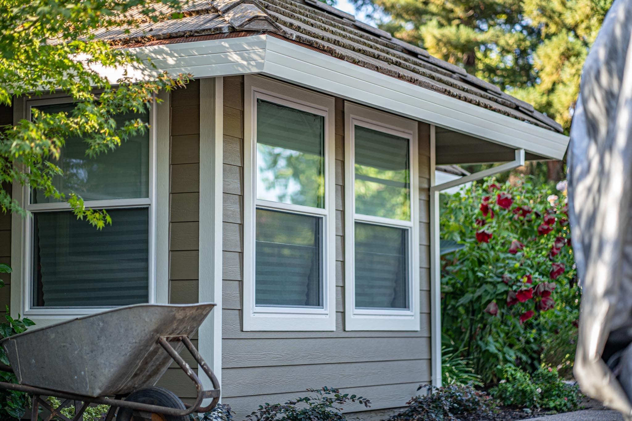 Beautiful Window job installed by Cobex