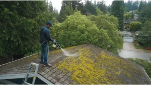 How to Remove Moss from Roof