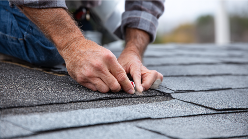 Close-up of hands performing roof shingle repair with asphalt shingles during a small maintenance job