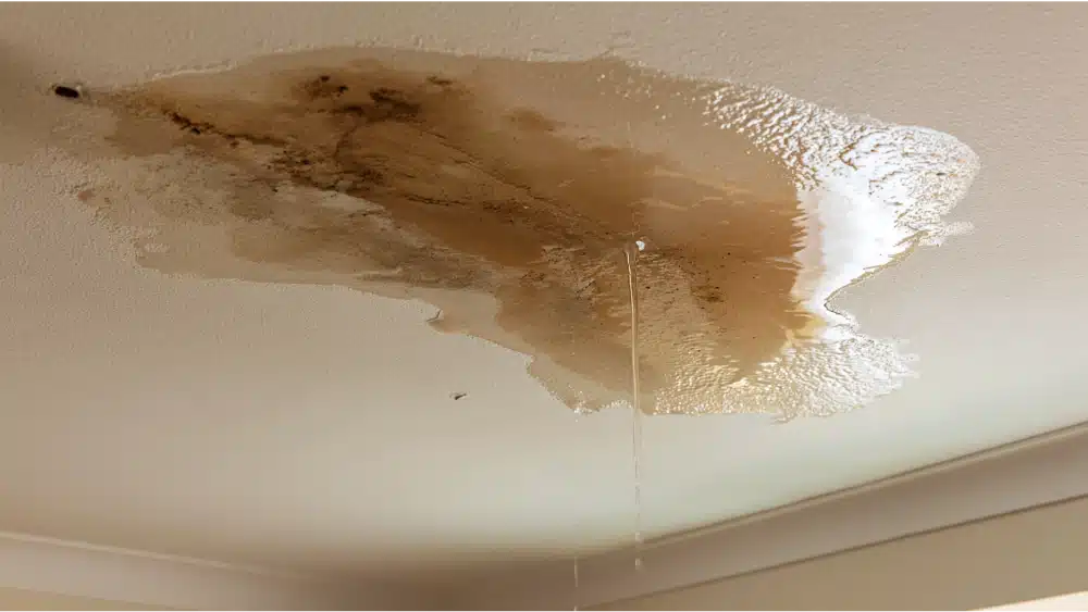If Your Roof Leaks During El Niño Storms