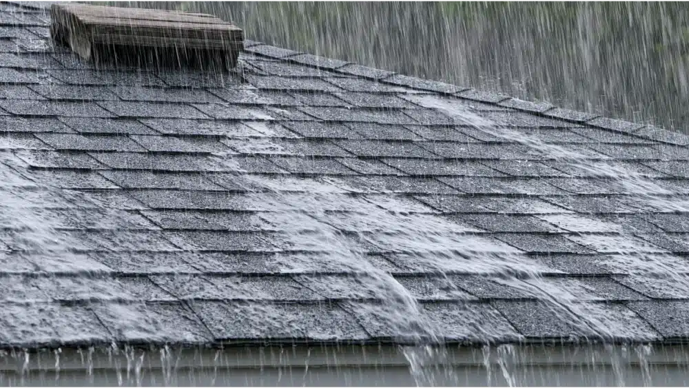 What an El Niño winter actually changes, and what it doesn't