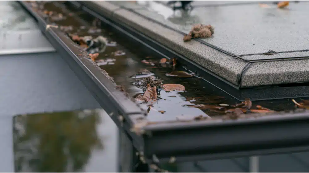 Why clogged gutters, flat roofs, and ponding water matter as much as missing shingles